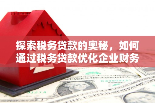 沭阳探索税务贷款的奥秘，如何通过税务贷款优化企业财务