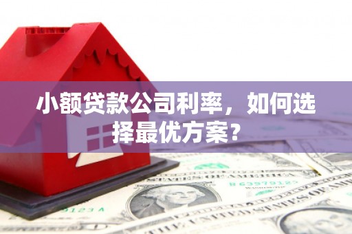 沭阳小额贷款公司利率，如何选择最优方案？