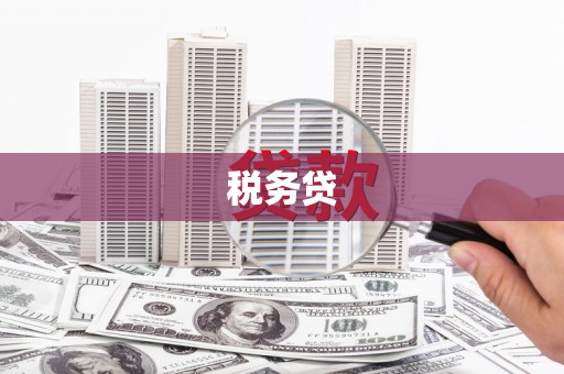 沭阳税务贷