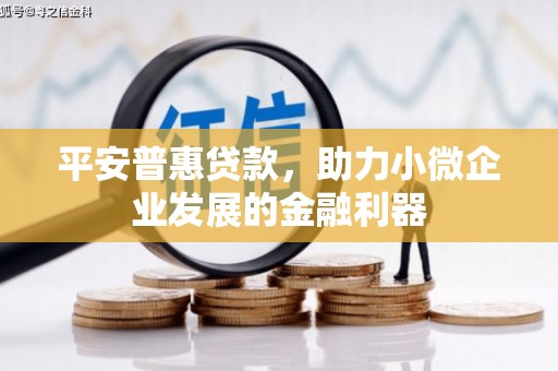 沭阳平安普惠贷款，助力小微企业发展的金融利器