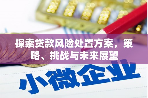 沭阳探索贷款风险处置方案，策略、挑战与未来展望