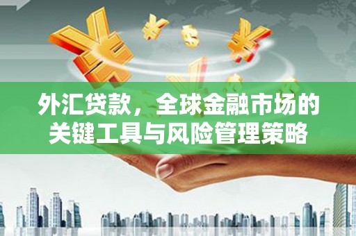 沭阳外汇贷款，全球金融市场的关键工具与风险管理策略