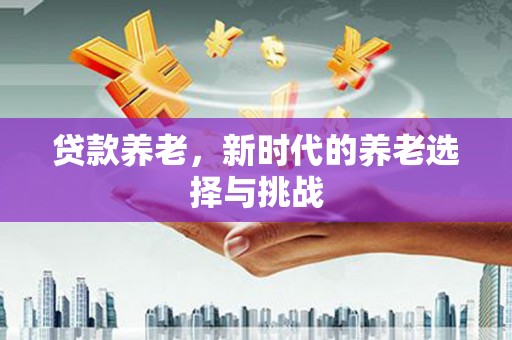 沭阳贷款养老，新时代的养老选择与挑战