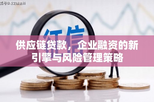 沭阳供应链贷款，企业融资的新引擎与风险管理策略