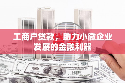 沭阳工商户贷款，助力小微企业发展的金融利器