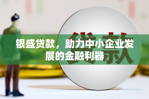沭阳银盛贷款，助力中小企业发展的金融利器