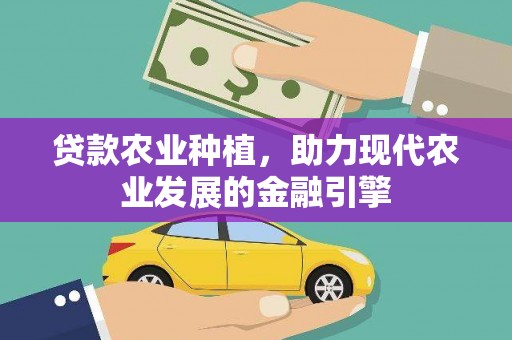 沭阳贷款农业种植，助力现代农业发展的金融引擎