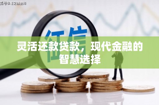 沭阳灵活还款贷款，现代金融的智慧选择