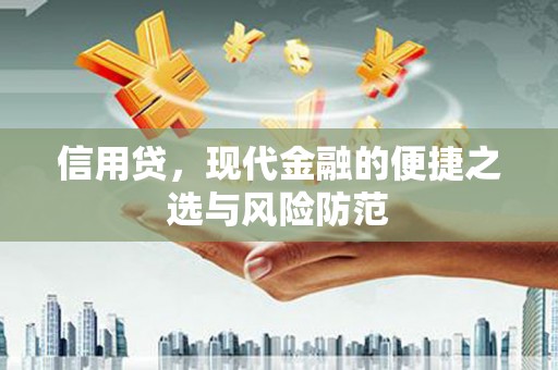 沭阳信用贷，现代金融的便捷之选与风险防范