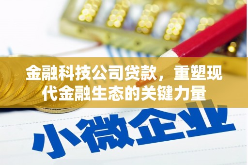 沭阳金融科技公司贷款，重塑现代金融生态的关键力量