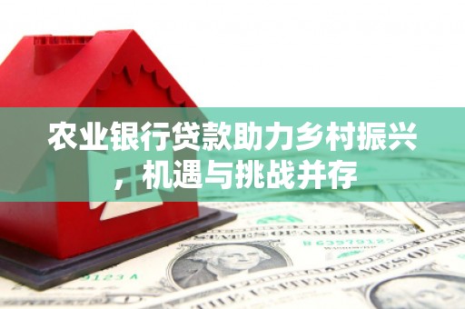 沭阳农业银行贷款助力乡村振兴，机遇与挑战并存