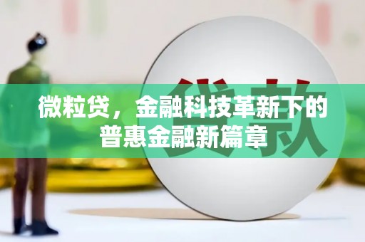 沭阳微粒贷，金融科技革新下的普惠金融新篇章