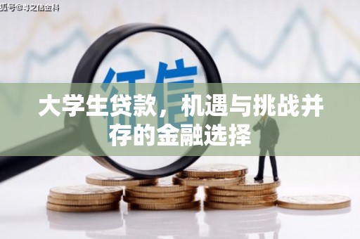 沭阳大学生贷款，机遇与挑战并存的金融选择