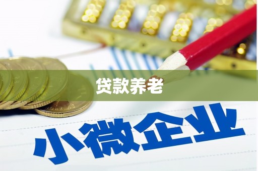 沭阳贷款养老