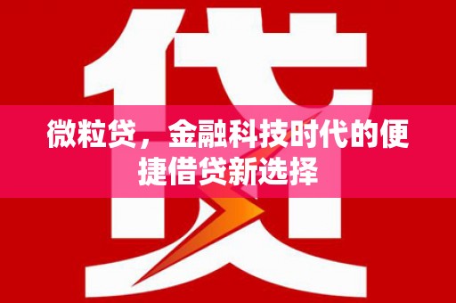 沭阳微粒贷，金融科技时代的便捷借贷新选择