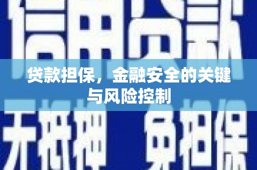沭阳贷款担保，金融安全的关键与风险控制
