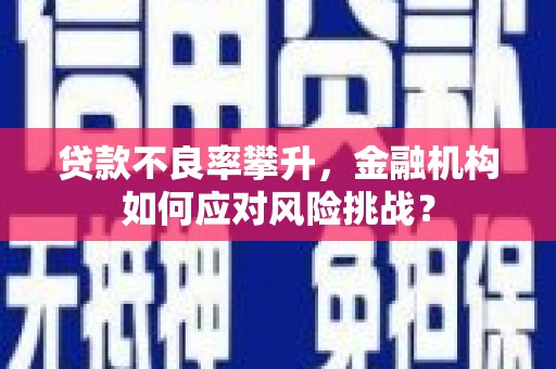 沭阳贷款不良率攀升，金融机构如何应对风险挑战？