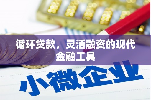 沭阳循环贷款，灵活融资的现代金融工具