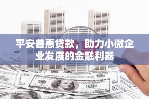 沭阳平安普惠贷款，助力小微企业发展的金融利器