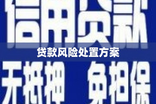 沭阳贷款风险处置方案